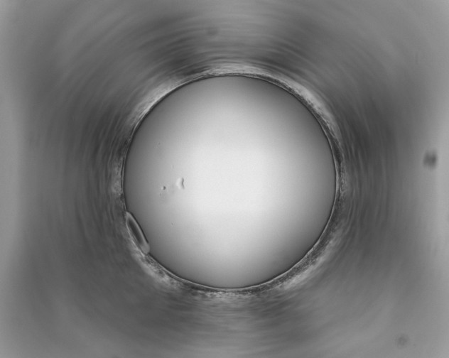 X0000090750905200708101722