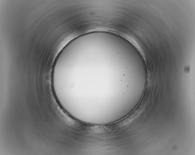 X0000090750906200708101722