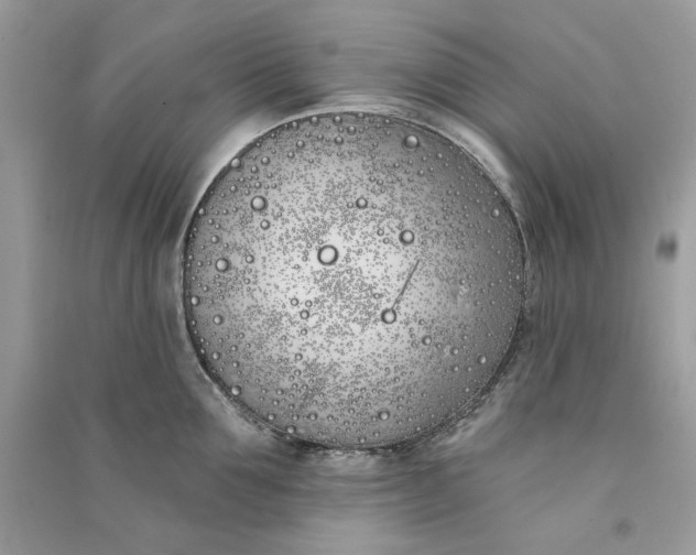 X0000090750907200708101722