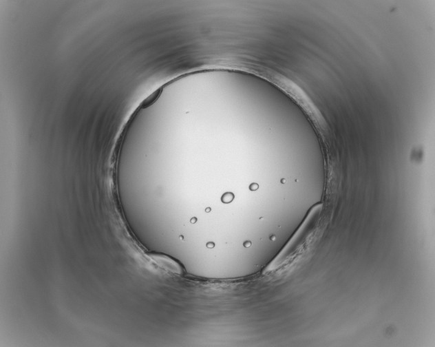 X0000090750908200708101722