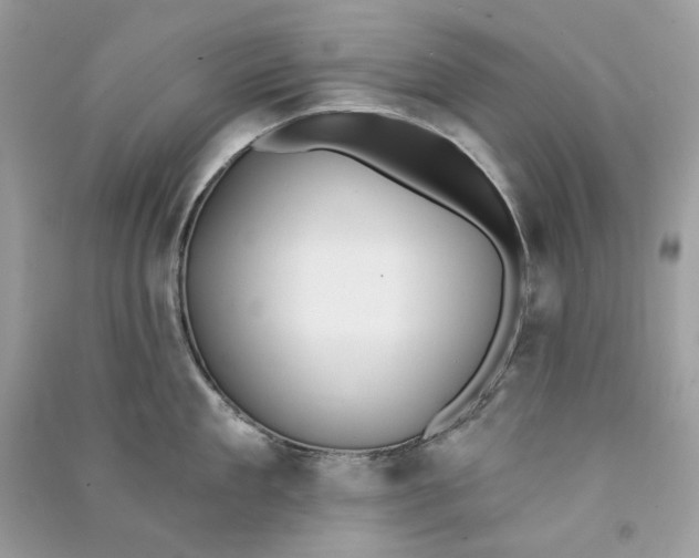 X0000090750909200708101722