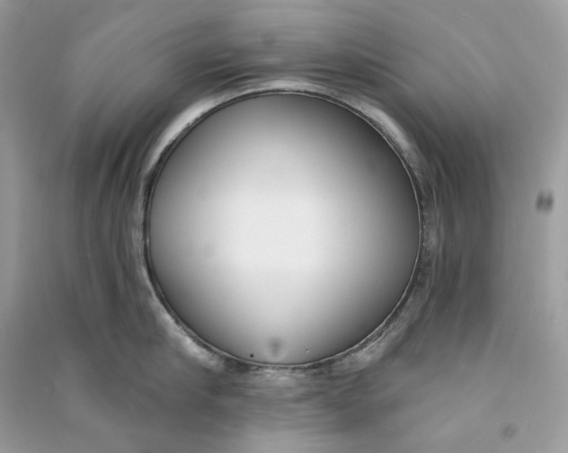 X0000090750910200708101722