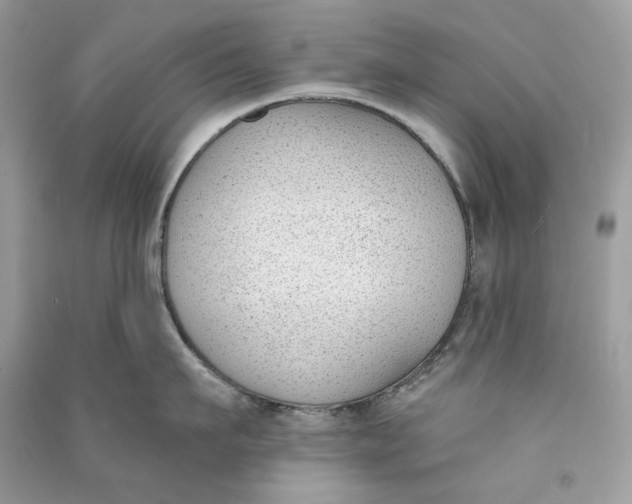 X0000090750911200708101722