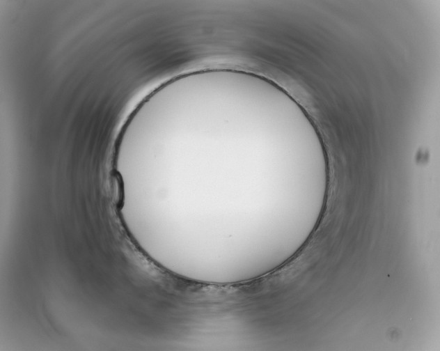 X0000090750912200708101722