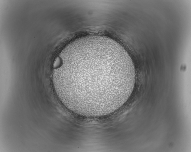 X0000090750913200708101721