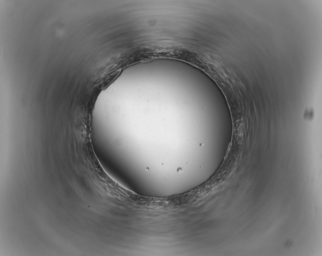 X0000090750916200708101721