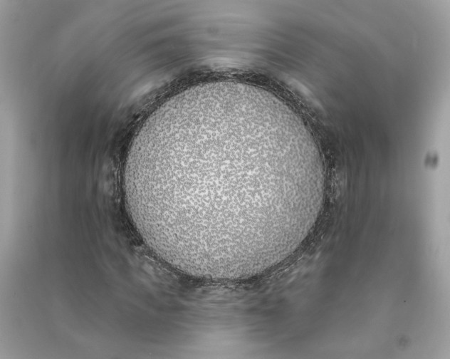 X0000090750917200708101721