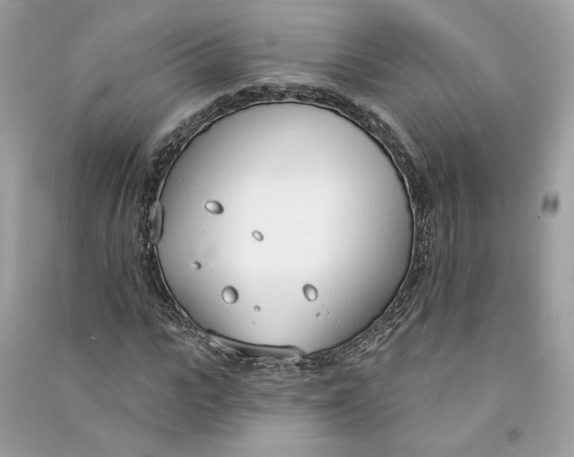 X0000090750919200708101721