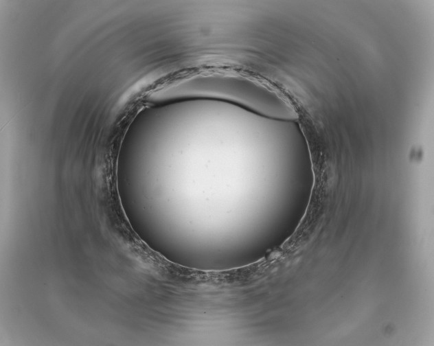 X0000090750920200708101721