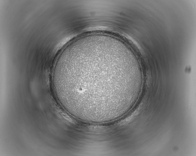 X0000090750921200708101721