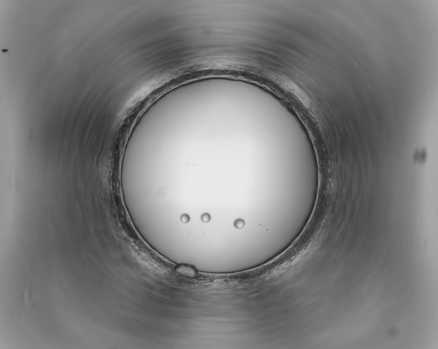 X0000090750922200708101721