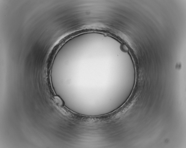 X0000090750923200708101721