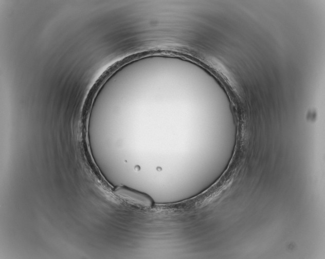 X0000090750924200708101721