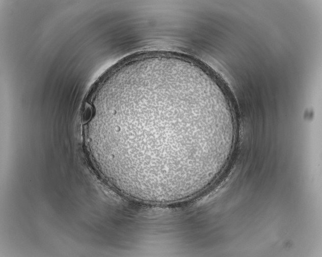 X0000090750925200708101721