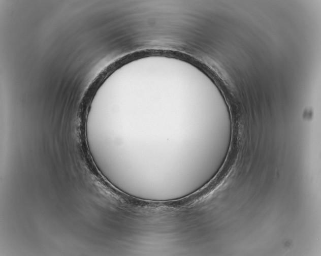 X0000090750926200708101721