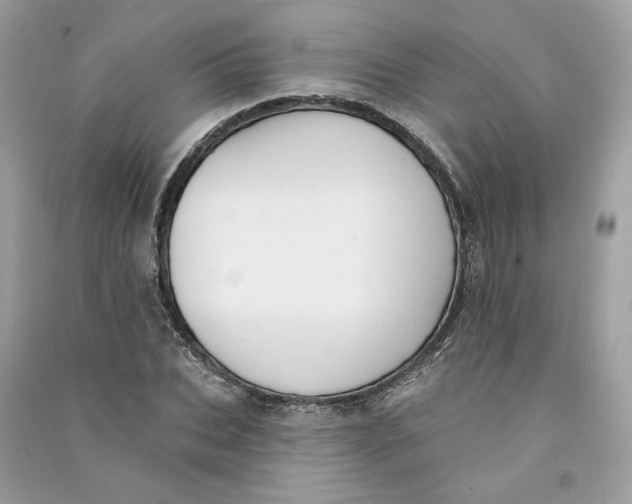 X0000090750927200708101721