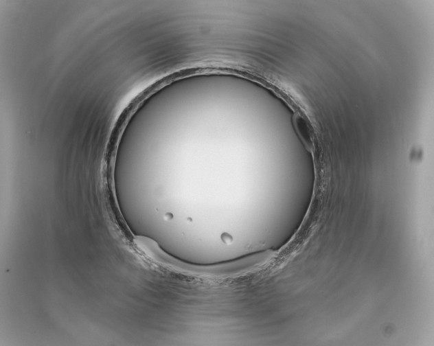 X0000090750928200708101721