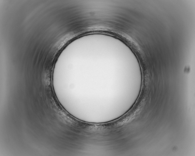 X0000090750929200708101721