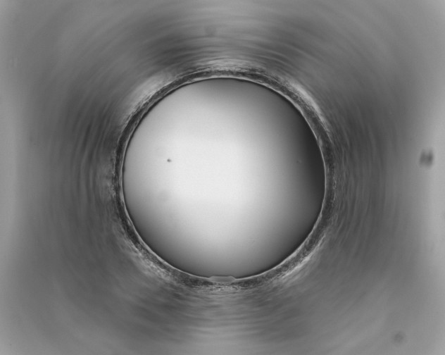 X0000090750930200708101721