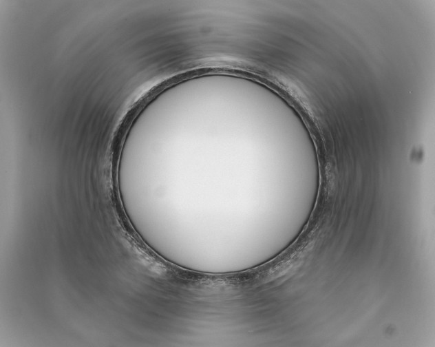 X0000090750931200708101722