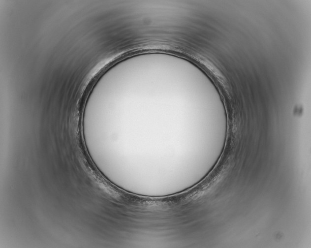 X0000090750933200708101722