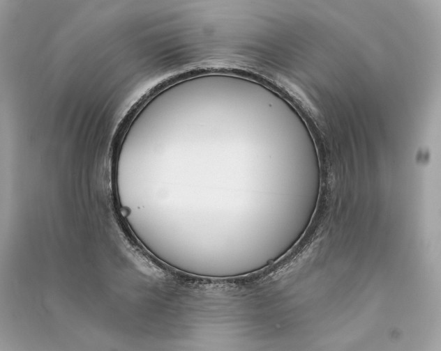 X0000090750934200708101722