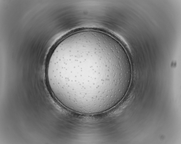 X0000090750935200708101722