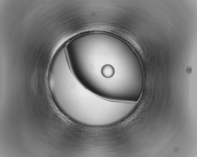 X0000090750936200708101722