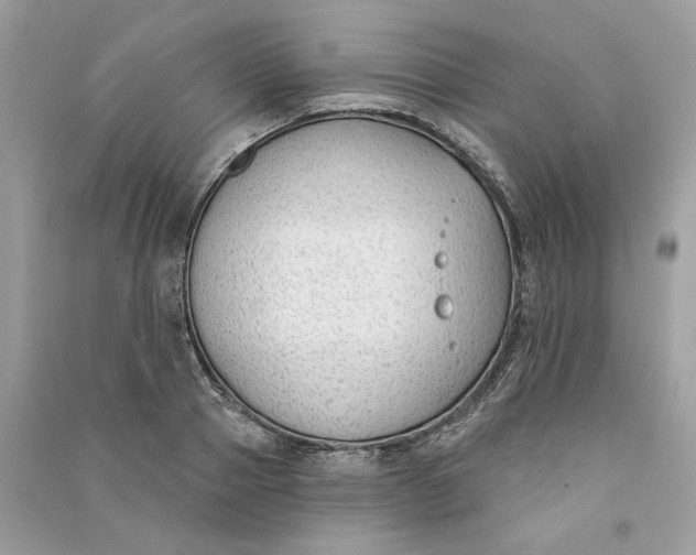 X0000090750937200708101722