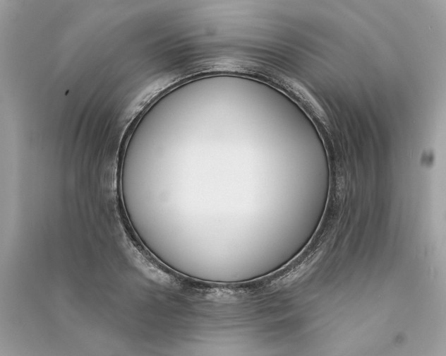 X0000090750938200708101722