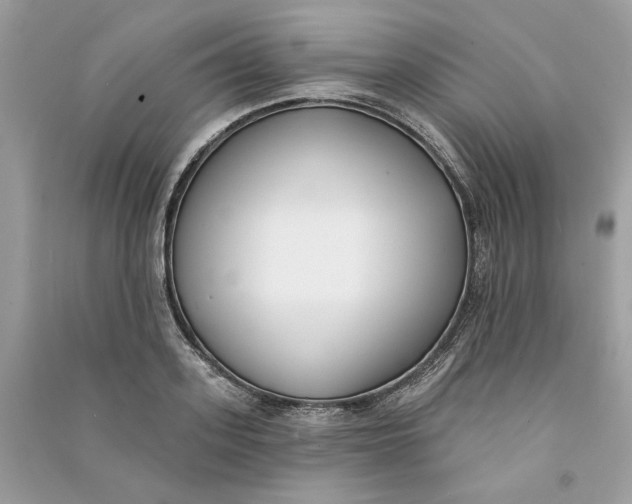 X0000090750939200708101722