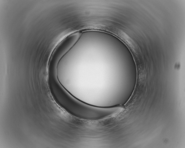 X0000090750940200708101722