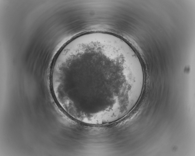 X0000090750941200708101722