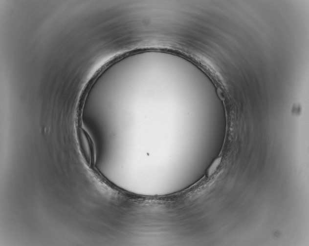 X0000090750942200708101722