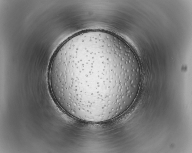 X0000090750943200708101722