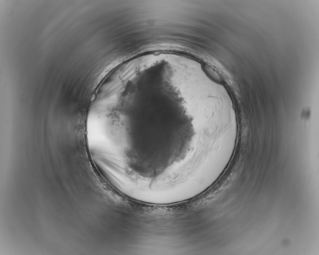 X0000090750945200708101722