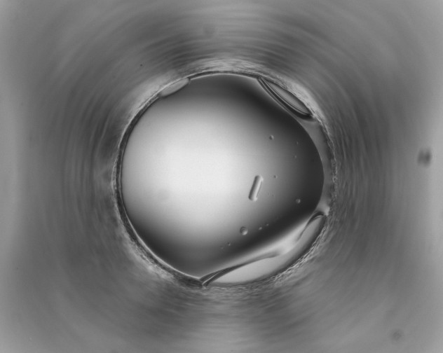 X0000090750946200708101722