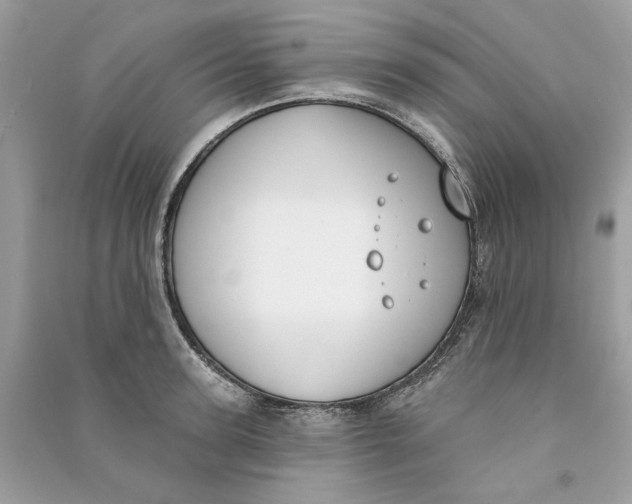 X0000090750947200708101722