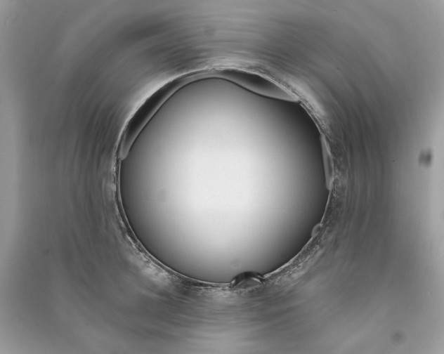 X0000090750948200708101722