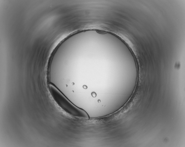 X0000090750949200708101722