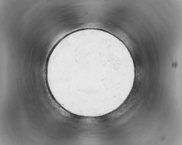 X0000090750950200708101722