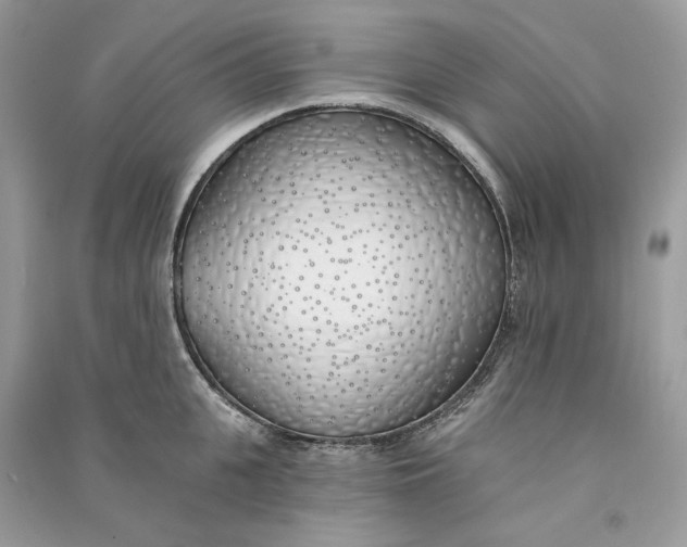 X0000090750951200708101722