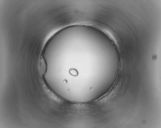 X0000090750952200708101722