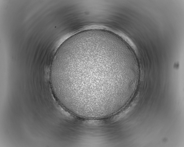 X0000090750953200708101722