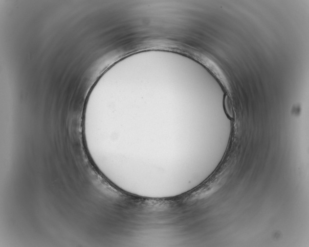 X0000090750954200708101722