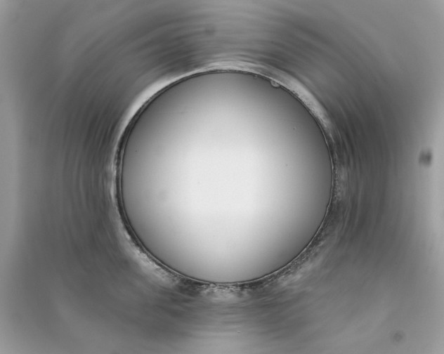 X0000090750955200708101722