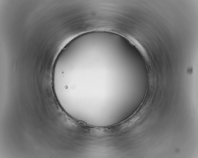 X0000090750956200708101722