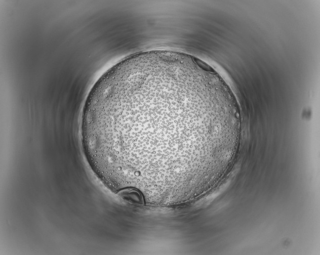 X0000090750957200708101722