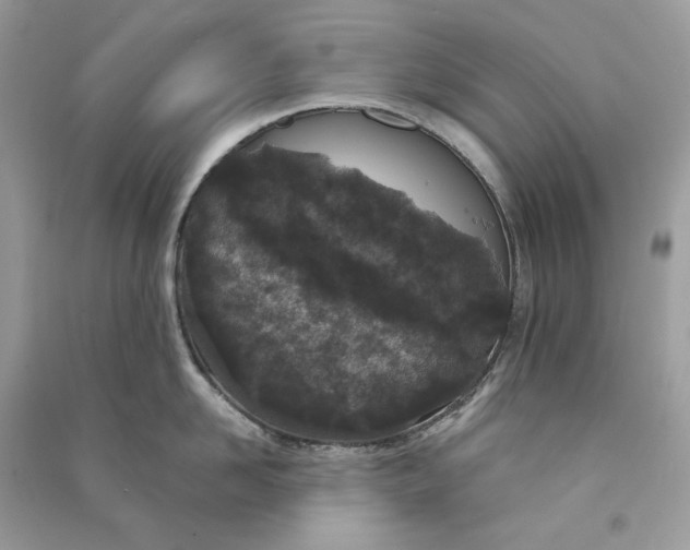 X0000090750958200708101722