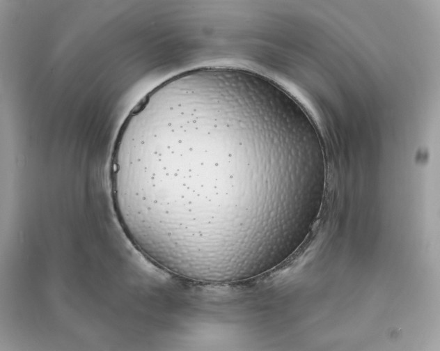 X0000090750959200708101722